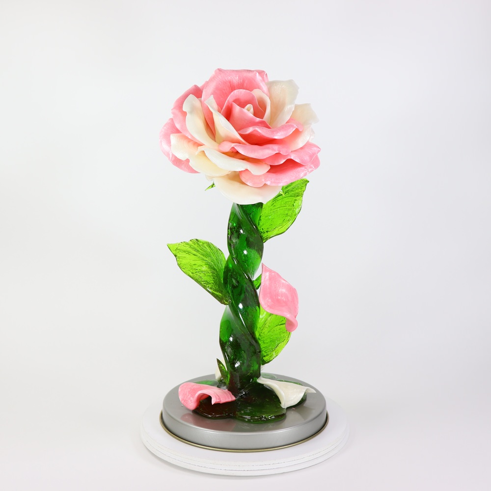 Карамельная Роза большая розово-белая в тубе