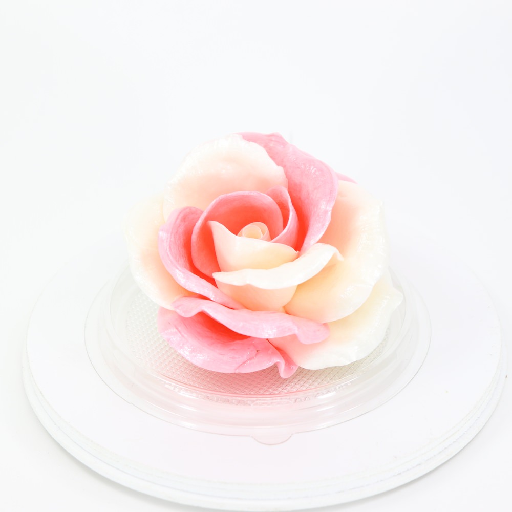 Карамельная Роза маленькая розово-белая в полусфере