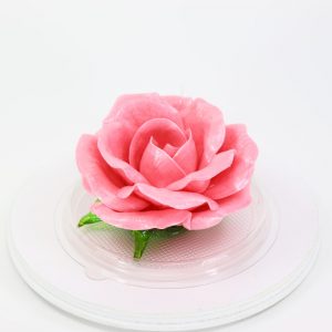Карамельная Роза маленькая розовая в полусфере