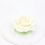 Карамельная Роза маленькая цветочно-белая в полусфере
