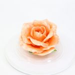Карамельная Роза маленькая чайная в полусфере